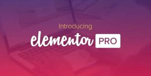Elementor PRO WordPress Page Builder + Pro Templates 3.31.2