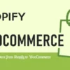 S2W - Import Shopify to WooCommerce - Migrate Your Store from Shopify to WooCommerce 1.3.6