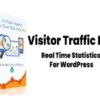 Visitor Traffic Real Time Statistics Pro 10.5
